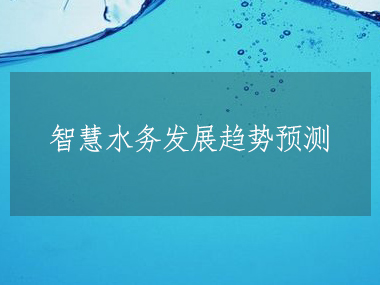 2023-2028年全球及中國(guó)智慧水務(wù)行業(yè)發(fā)展分析